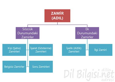 9 sınıf zamirler konu anlatımı